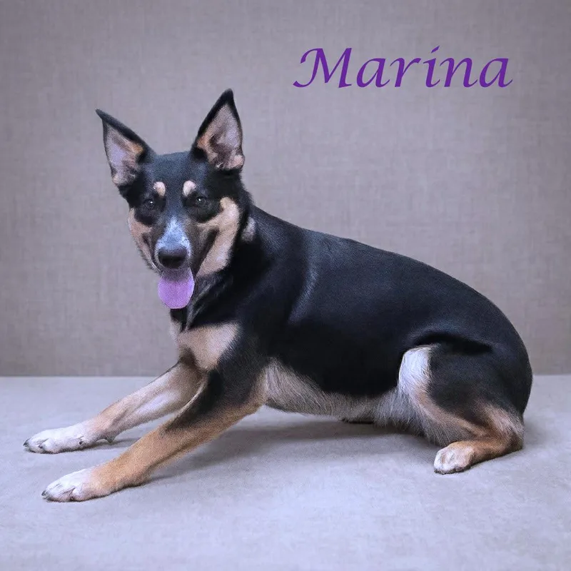 Marina D thumbnail 4