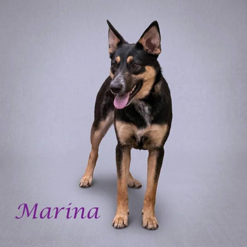 Marina D thumbnail 5