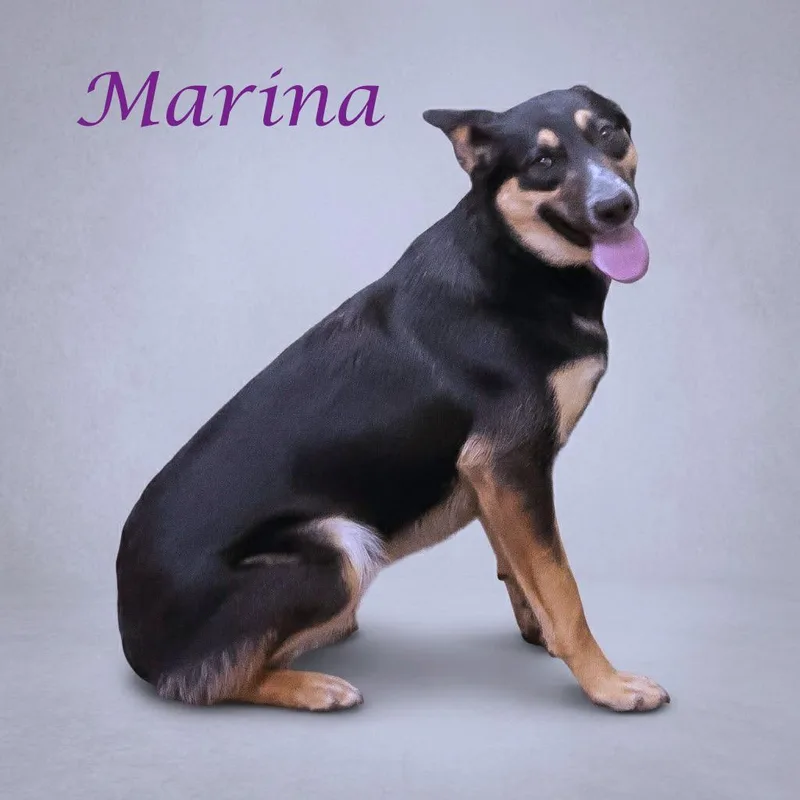 Marina D thumbnail 6