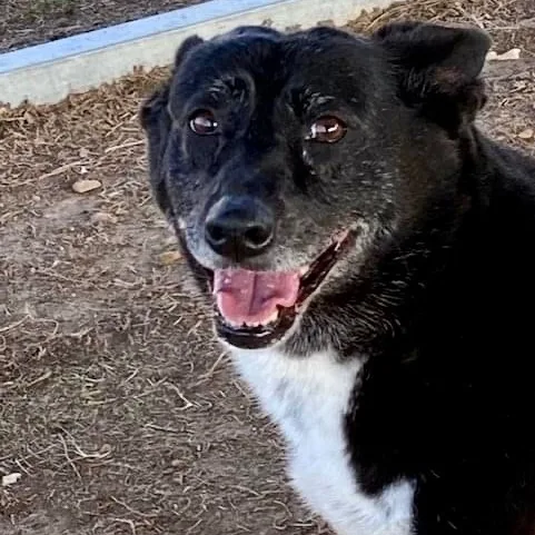 Jojo & Poppie ~ thumbnail 2