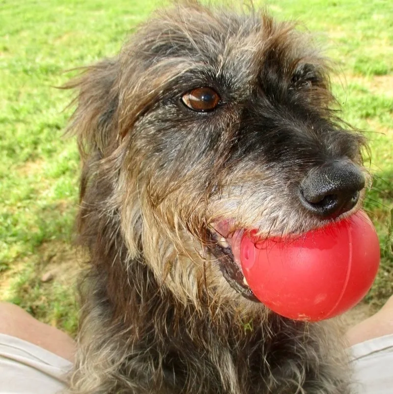 Jojo & Poppie ~ thumbnail 3