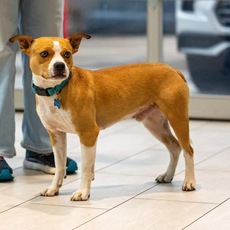 Galveston thumbnail 2