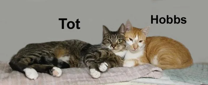 Hobbs And Tot Fuh.gran. thumbnail 2