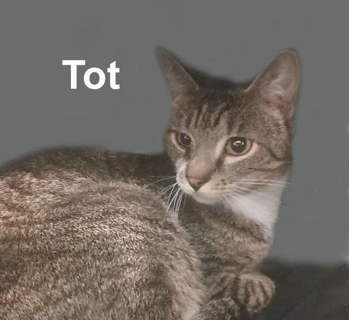 Hobbs And Tot Fuh.gran. thumbnail 3