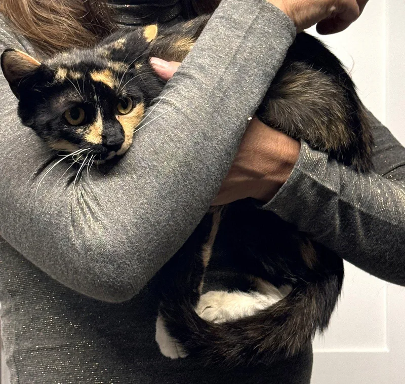 Rosie thumbnail 3