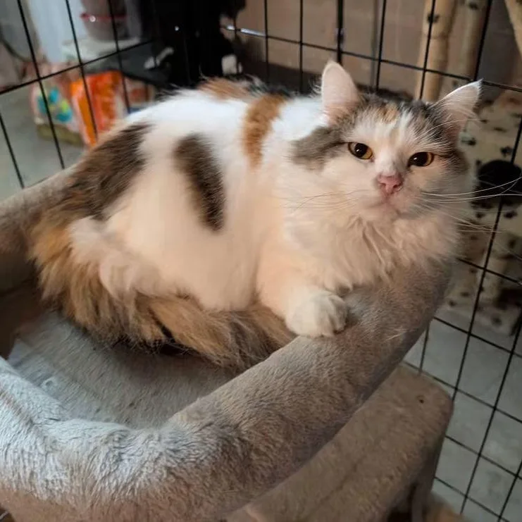 Fiona