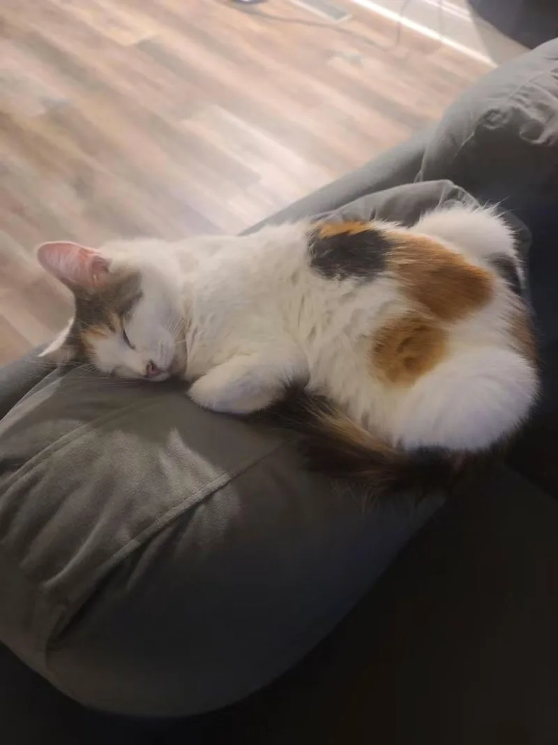 Fiona thumbnail 2