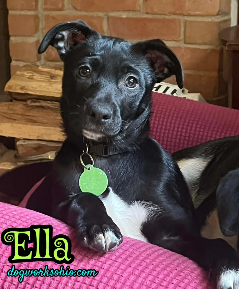 Ella thumbnail 2