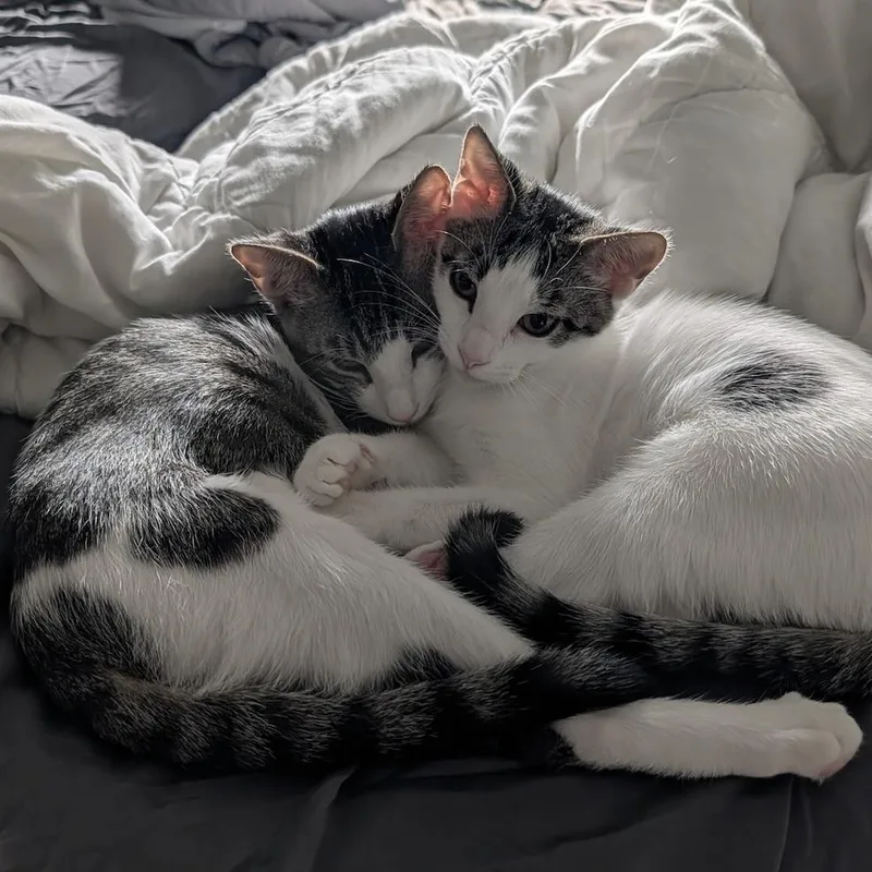 Tucker & Baby Mia thumbnail 2