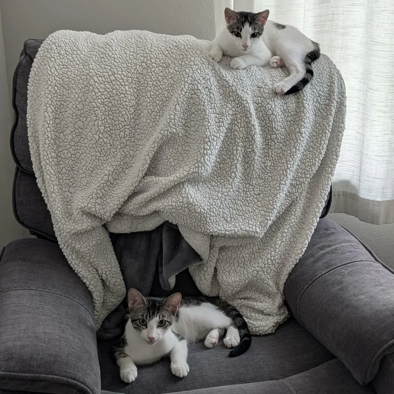 Tucker & Baby Mia thumbnail 5