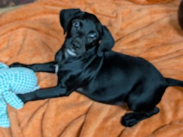 Riley thumbnail 2