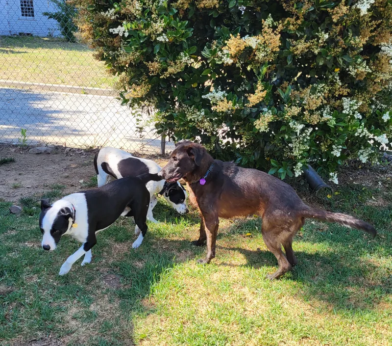 Mars Bar! Men Are thumbnail 2