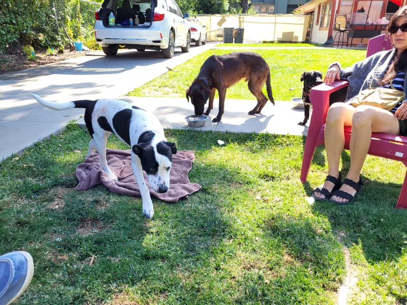 Mars Bar! Men Are thumbnail 3