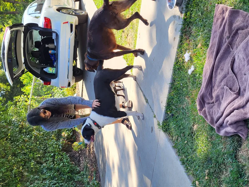 Mars Bar! Men Are thumbnail 4