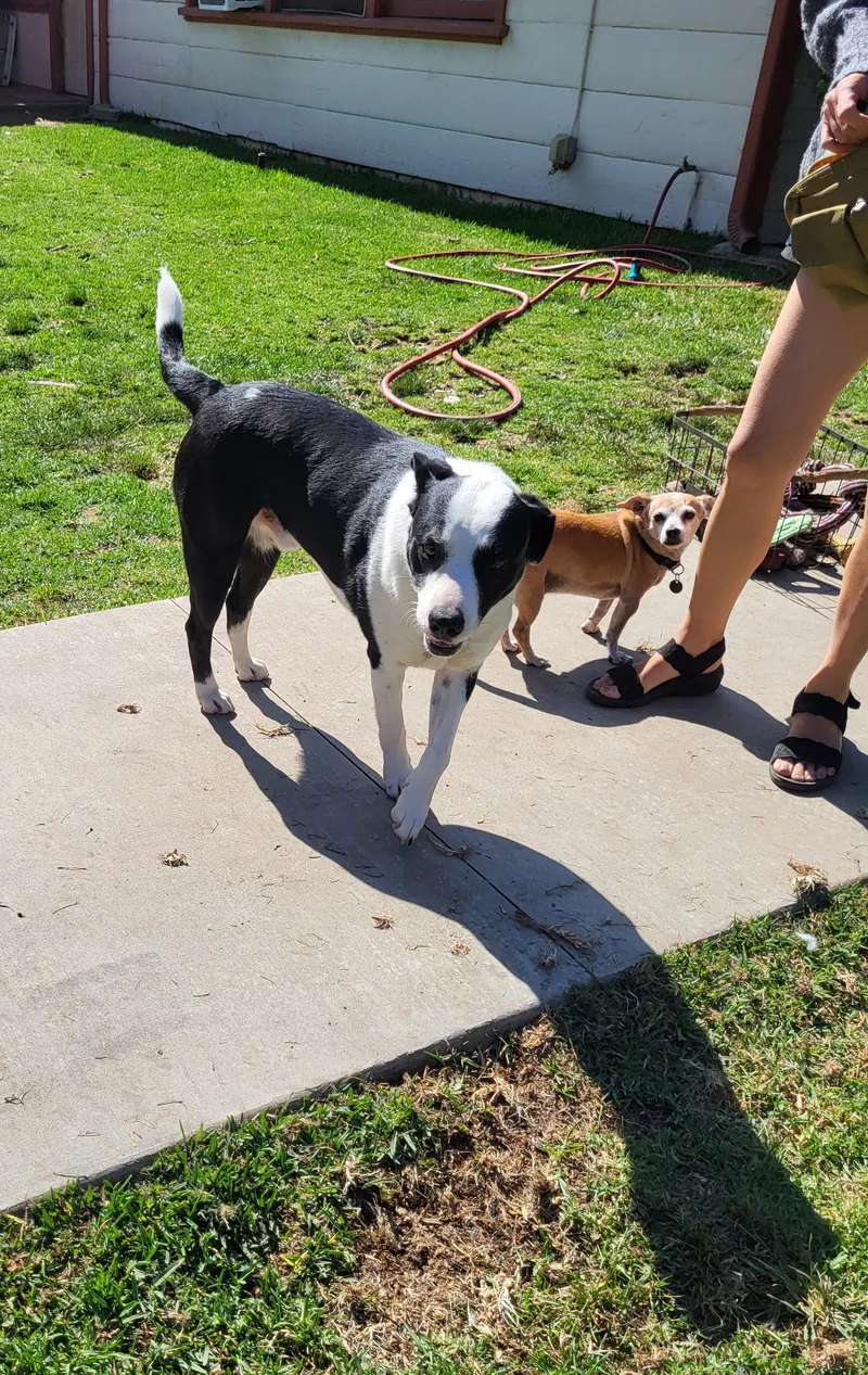 Mars Bar! Men Are thumbnail 5