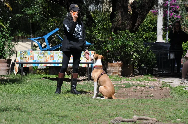 Nala thumbnail 5