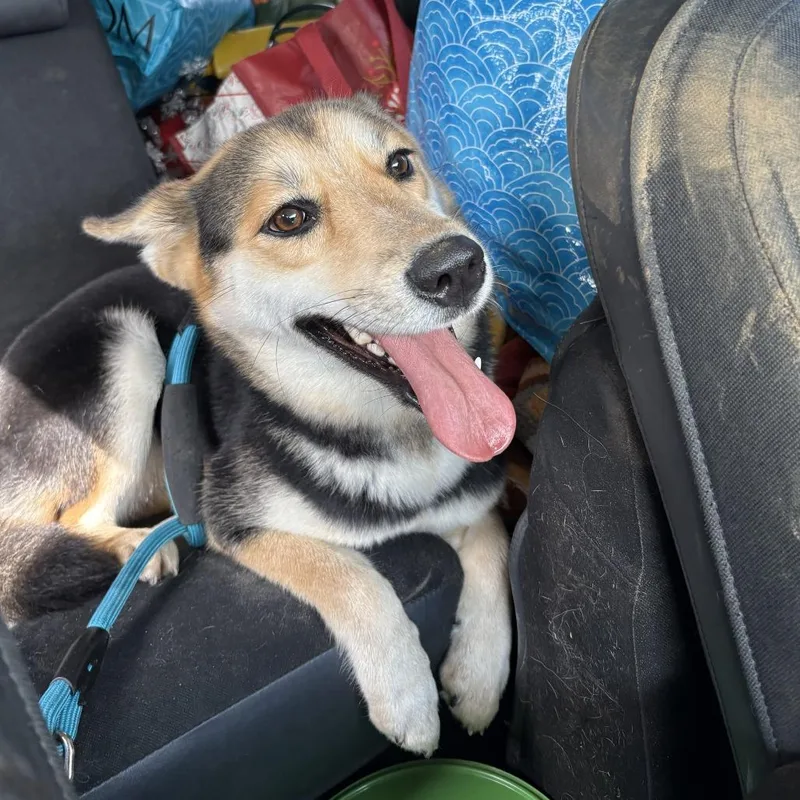 Miley Cyrus thumbnail 2