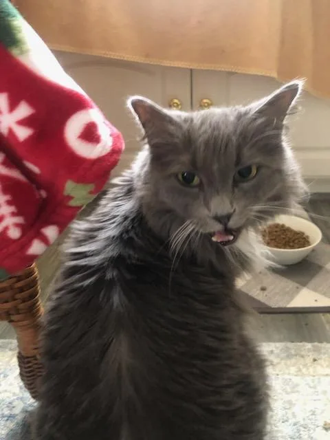 Burberry And Windsor At