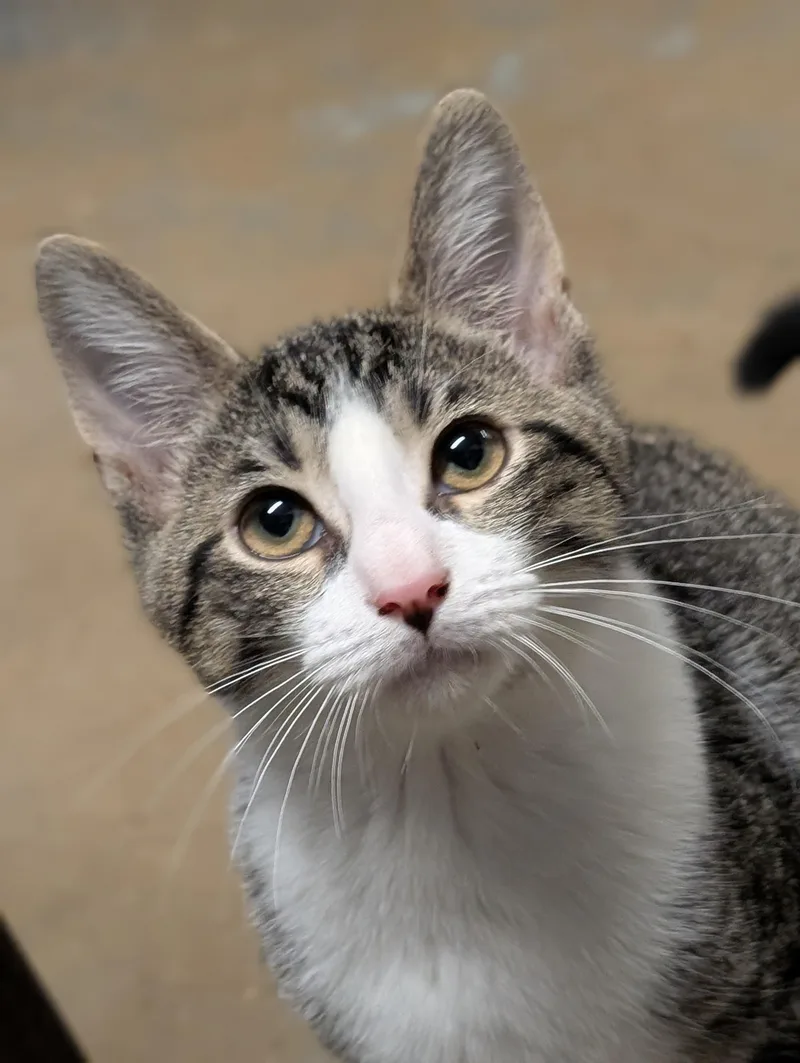 Tucker thumbnail 2