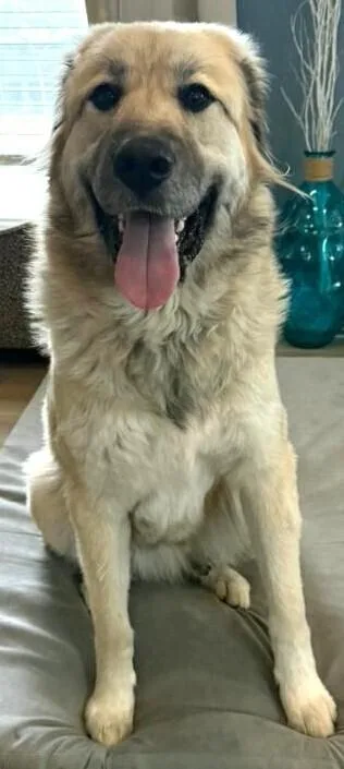 Quinny Pka Quinlan thumbnail 2