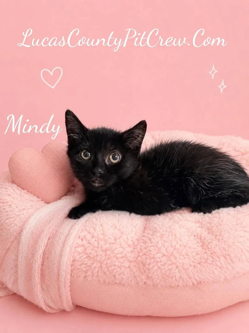 Mindy