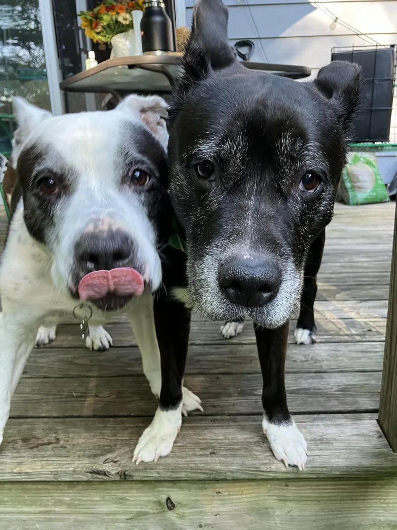 Bootsycourtesy Listing thumbnail 2