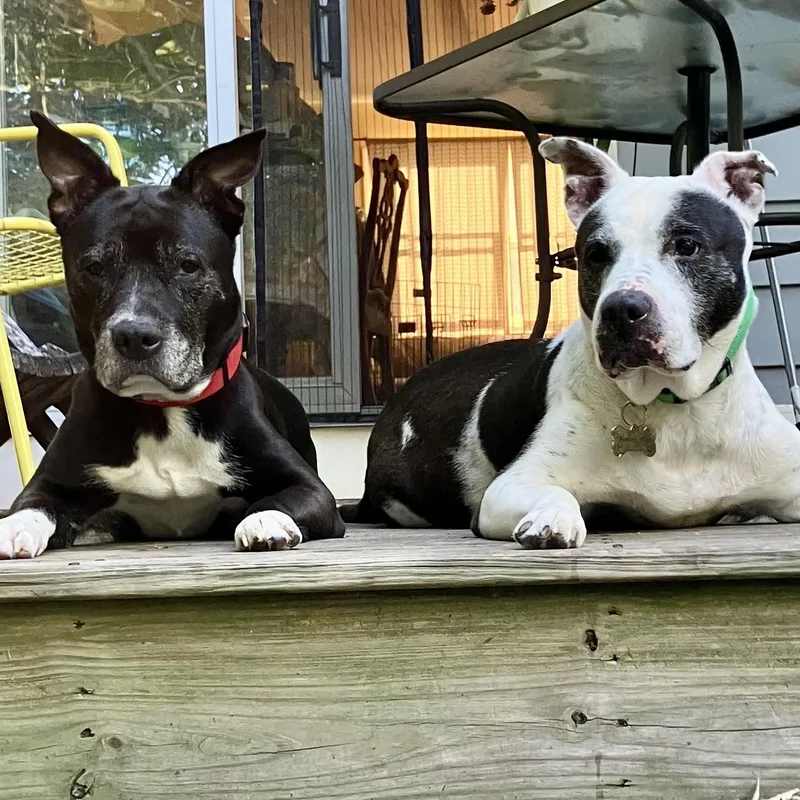 Bootsycourtesy Listing thumbnail 3