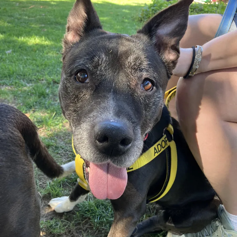 Bootsycourtesy Listing thumbnail 4