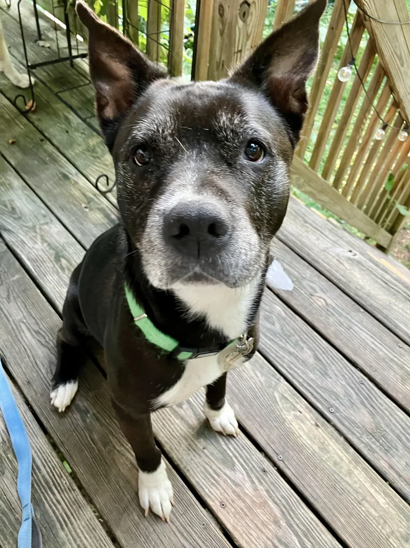 Bootsycourtesy Listing thumbnail 5