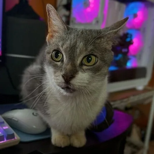 Sabrina