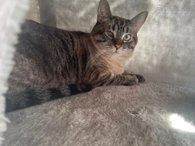 Ms. Olivia Iris thumbnail 2
