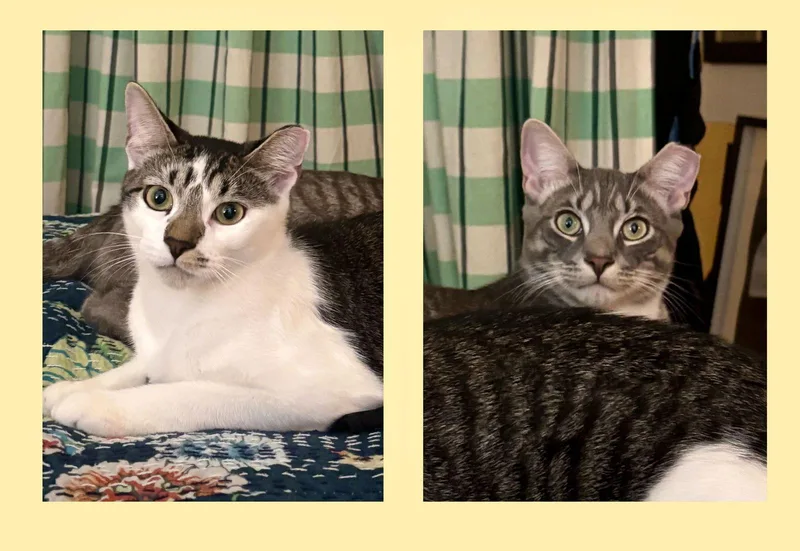 Sweet Cheeks And Toots