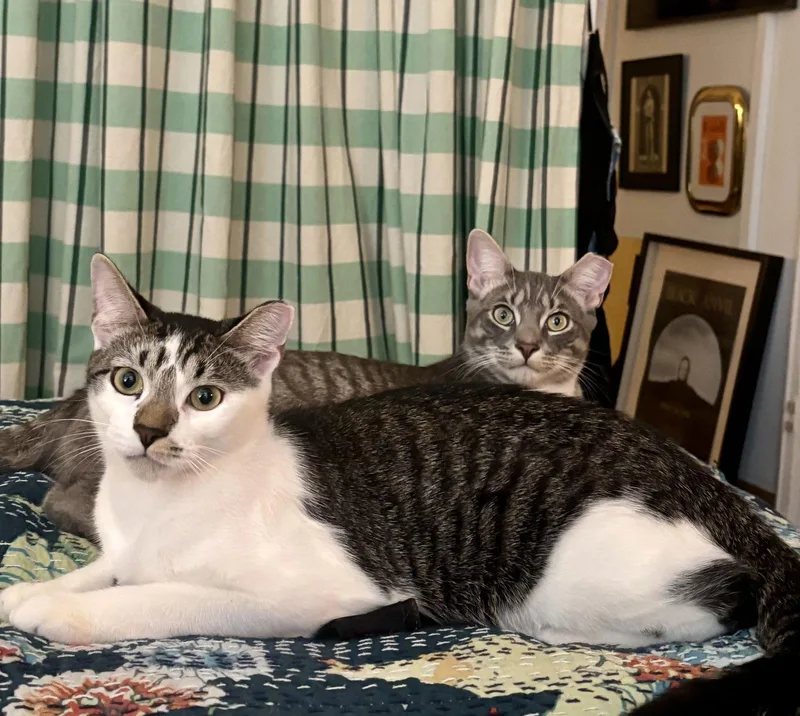 Sweet Cheeks And Toots thumbnail 3