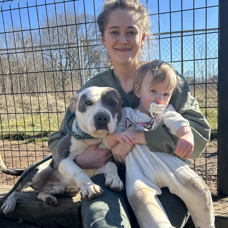 Roscoe Waffles thumbnail 3