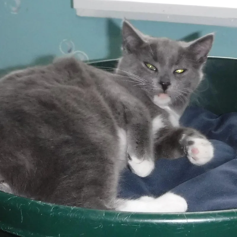 Harper  Sweet & thumbnail 5