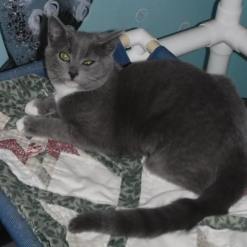 Harper  Sweet & thumbnail 6