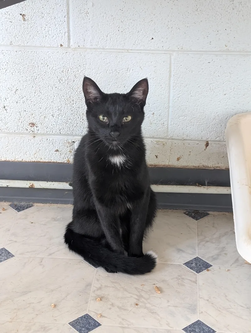 Paintbrush thumbnail 4