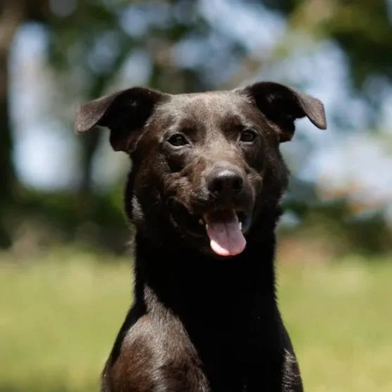 Burger thumbnail 3