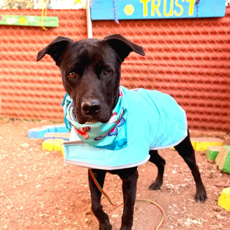 Celebrity Sighting thumbnail 2