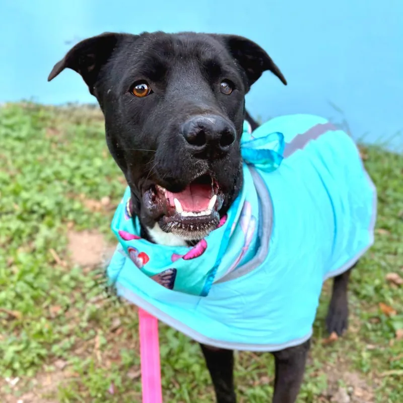 Celebrity Sighting thumbnail 3