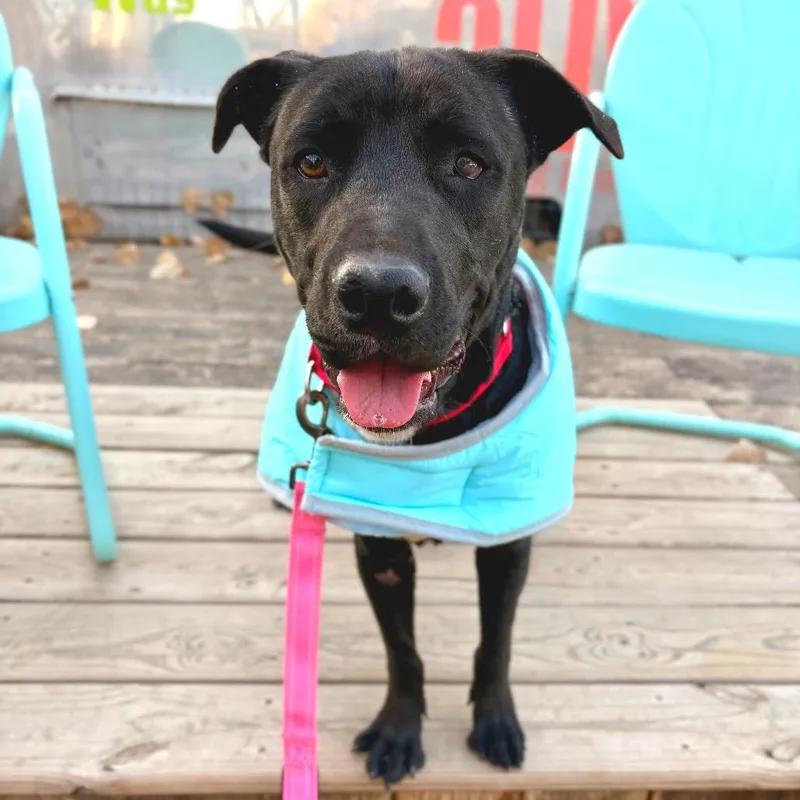 Celebrity Sighting thumbnail 4