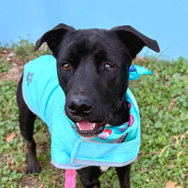 Celebrity Sighting thumbnail 5