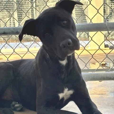 Celebrity Sighting thumbnail 6