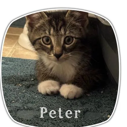 Peter