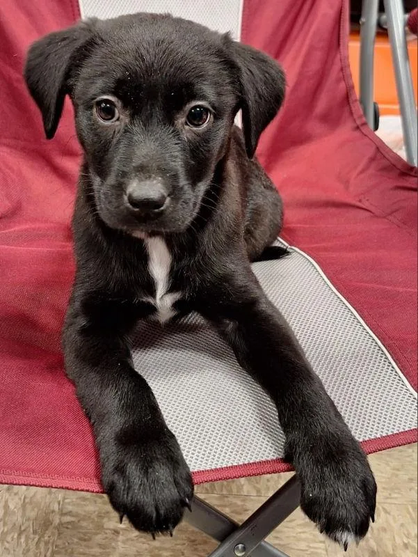 Cindy Lou Who thumbnail 3