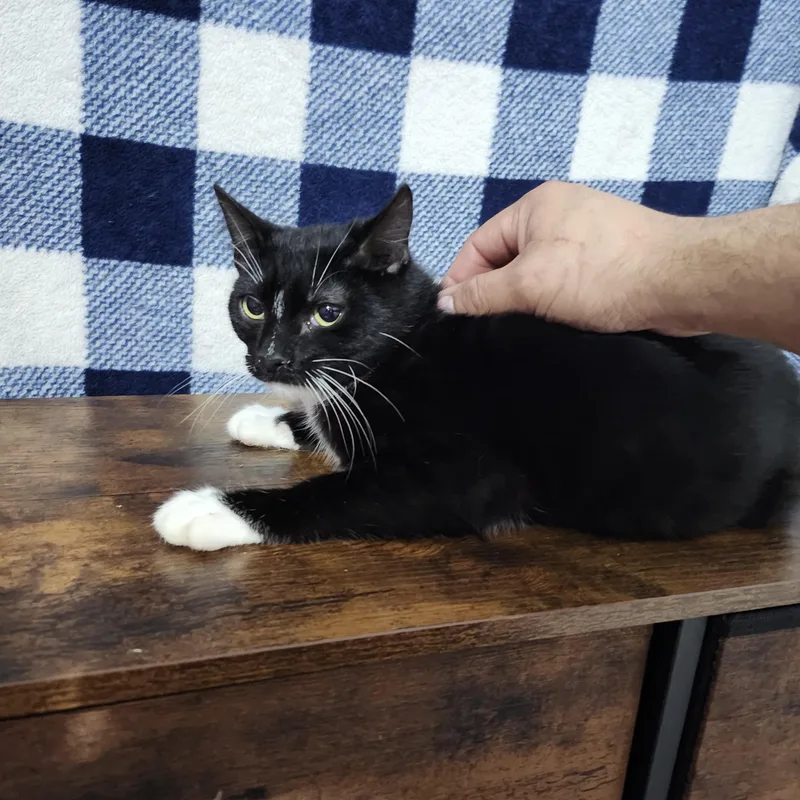 Mcracken thumbnail 3