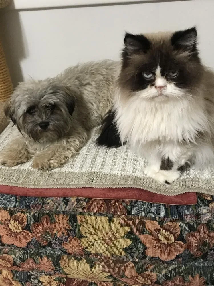 Benny