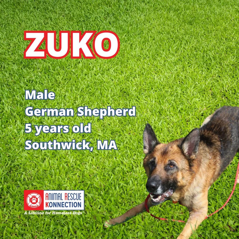 Zuko thumbnail 2