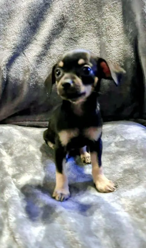 Nadia Lauren thumbnail 2