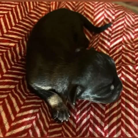 Nadia Lauren thumbnail 3